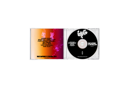 WHAT HAPPENED TO THE SKULL BOY CD